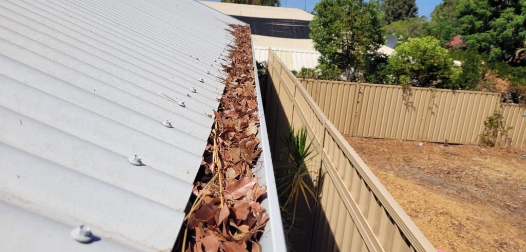 roof gutter cleaning Melbourne