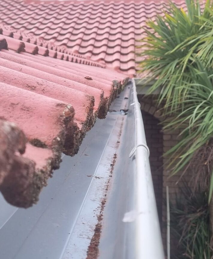 Gutter Replacements Melbourne