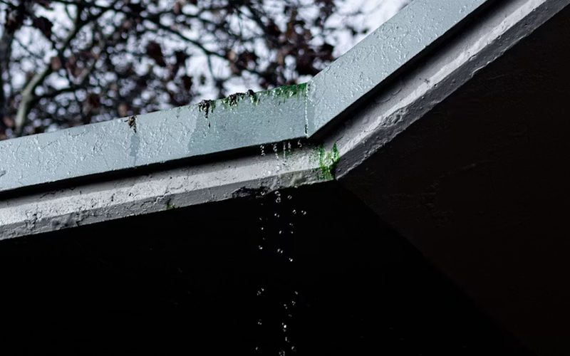 Roof and valley leaks